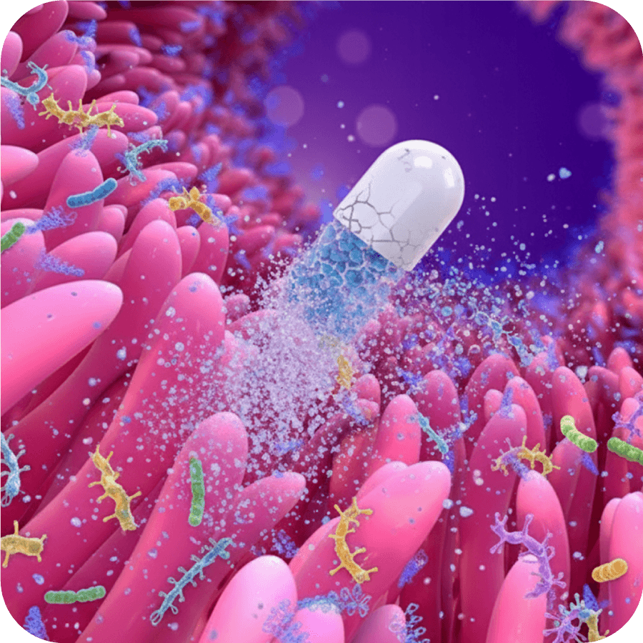 bonagermin-portada-entrada-blog-como-recuperar-flora-intestinal-despues-de-antibioticos