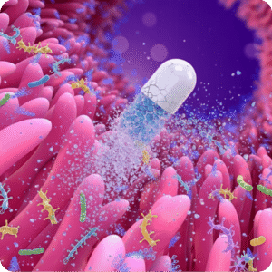 bonagermin-probiotics-blog-portada-como-recuperar-la-flora-intestinal-despues-de-antibioticos-3